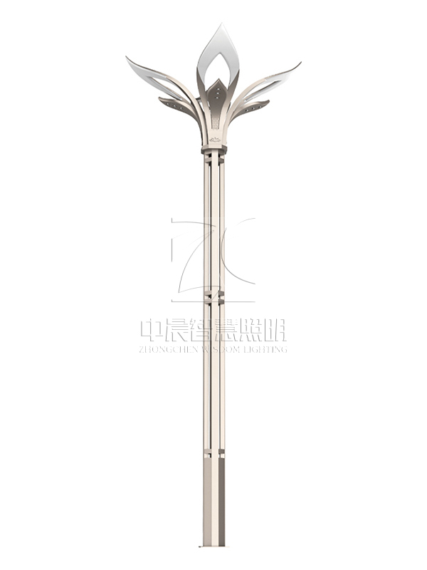 1608271536402820.jpg 2019912132998106.jpg