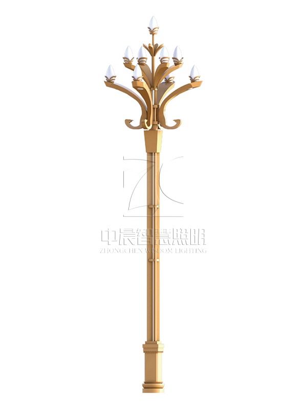 1608271554104700.jpg 2019912134181162.jpg